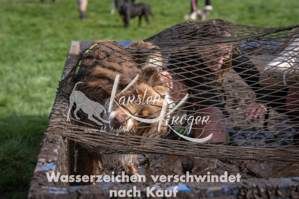 1416_ZZ91776 | kk-dogfotos