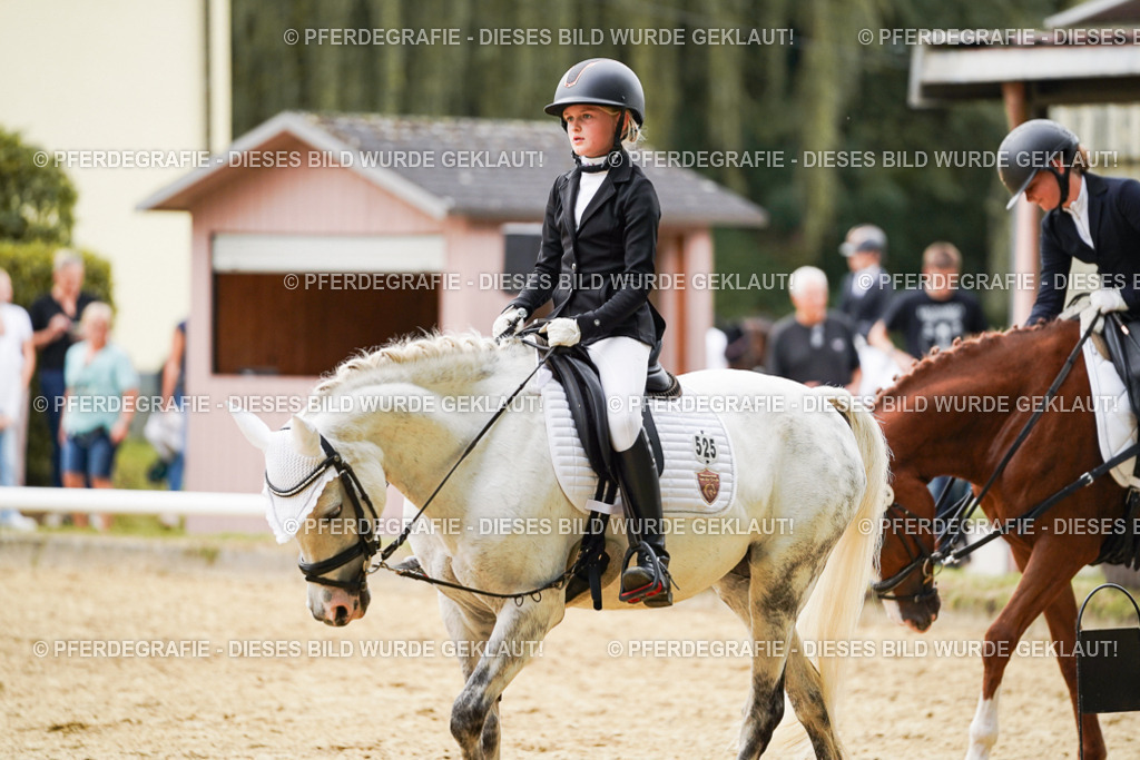 DSC09838 | Pferdegrafie