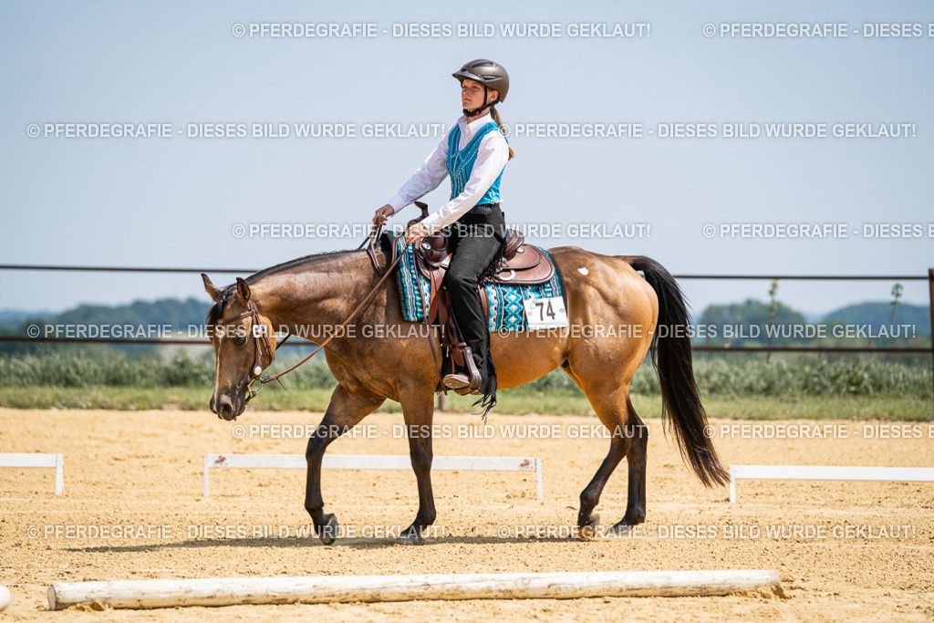 DSC00958 | Pferdegrafie