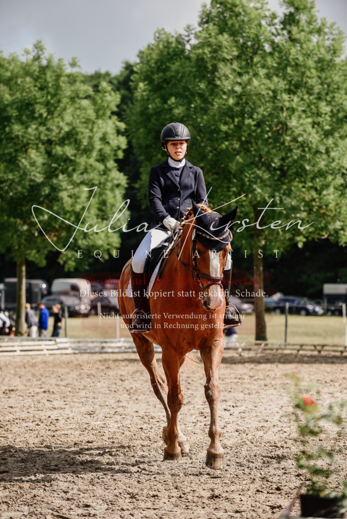 DSC_0015 | Pferde- und Turnierfotografie in Westsachsen. Pferdeportraits, Auftragszeichnungen und intuitive Kunst.