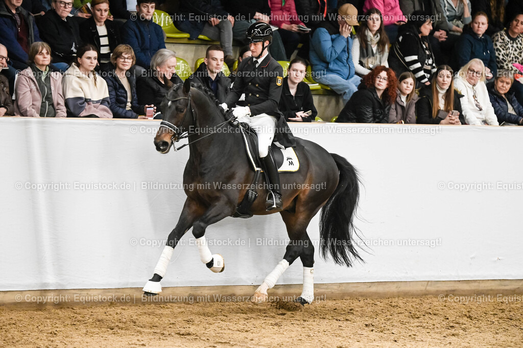 20260307_Hengstvorstellung-Marbach_0207 | equistock