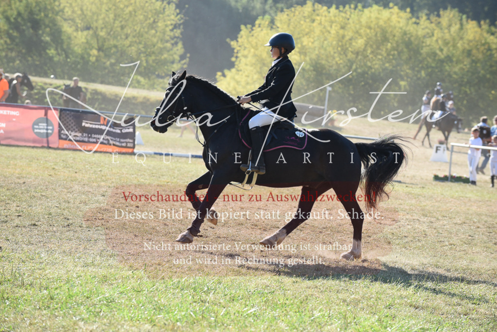 DSC_5750 | Pferde- und Turnierfotografie in Westsachsen. Pferdeportraits, Auftragszeichnungen und intuitive Kunst.