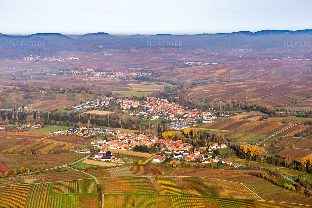 Luftbild: Strukturen der Herbstlich bunt gefärbte Weinbergs- Landschaft der Winzer- Gebiete im Ortsteil Klingen in Heuchelheim-Klingen im Bundesland Rheinland-Pfalz in Deutschland. Foto: IMG_123691.jpg vom 07.11.2020 durch Werner Riehm/FLY-FOTO.de