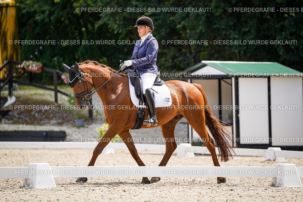 DSC00587 | Pferdegrafie