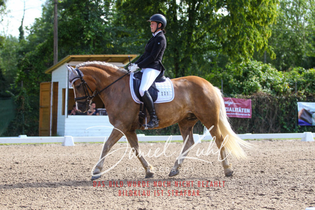 DKP42964 | Turnierfotos kaufen im Webshop von Daniel Kuhl Photography – entdecke professionelle Reitsportfotos aus Turnieren & Events. Hochwertige Turnierbilder online bestellen & sichern. Jetzt Fotos von Reitsportturnieren kaufen!