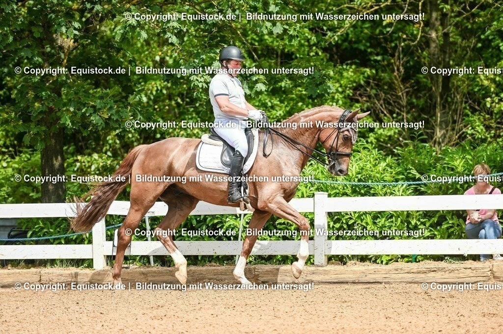20230716_01_Dressurprüfung Kl.M_0088 | equistock