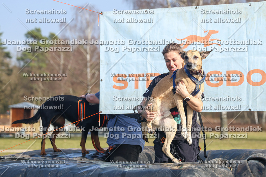Dog Paparazzi - Strongdog North Mrz26-3123 | Dog Paparazzi Jeanette Grottendiek Fotografie & Videografie - Realisiert mit Pictrs.com