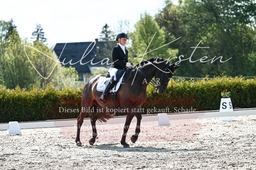 20230514_JK-Röhrsdorf-18-581 | Pferde- und Turnierfotografie in Westsachsen. Pferdeportraits, Auftragszeichnungen und intuitive Kunst.