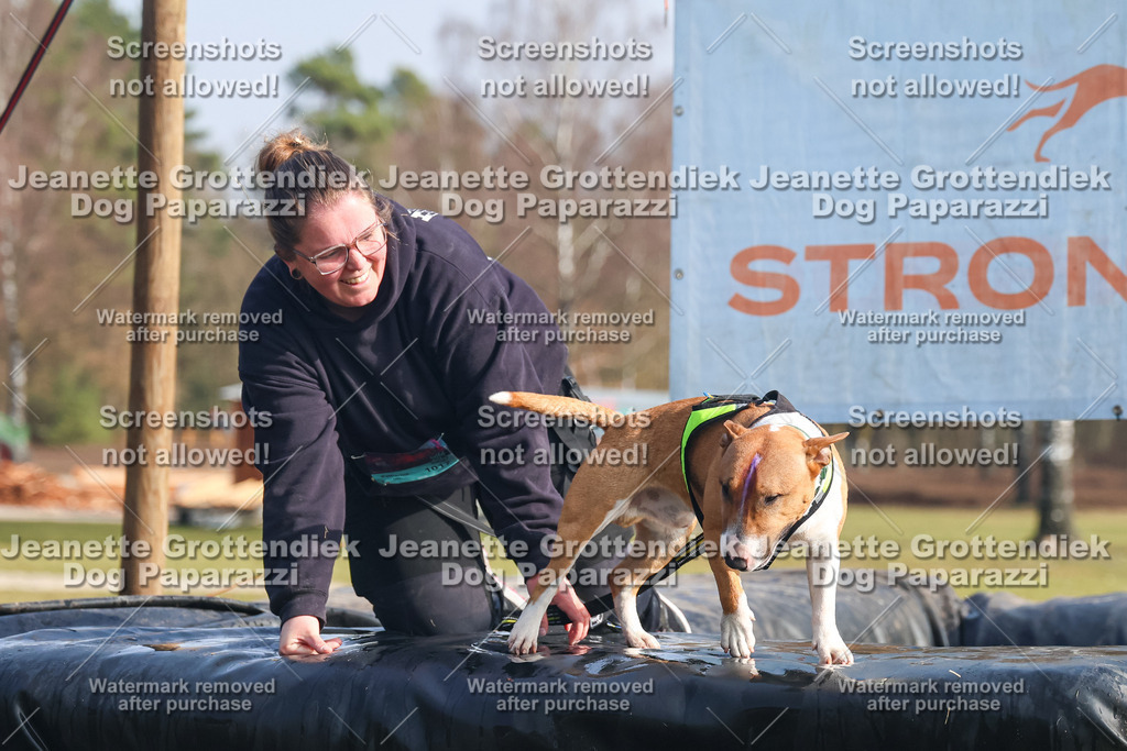 Dog Paparazzi - Strongdog North Mrz26-1971 | Dog Paparazzi Jeanette Grottendiek Fotografie & Videografie - Realisiert mit Pictrs.com