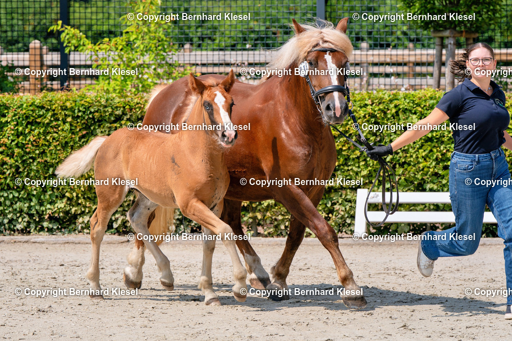 2A900023-2 | foto-team-bernhard - Realisiert mit Pictrs.com