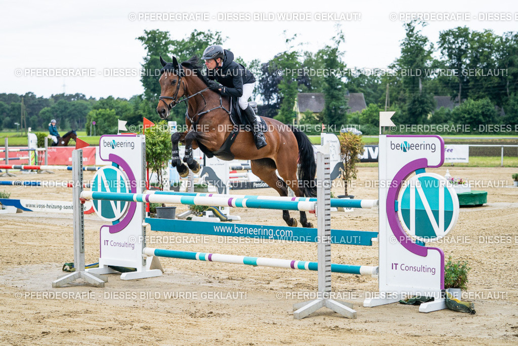 DSC04443 | Pferdegrafie