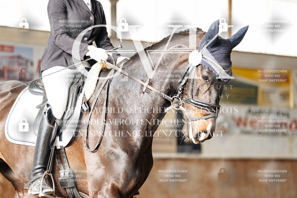 CK901860 | Turnierfotografie Pferdefotografie Trier Rheinland-Pfalz Pferdesport Reitsport Tierfotografie Sportfotografie Pferdevideo Pferdevideografie Equestrianvideography equestrianphotography  - Realisiert mit Pictrs.com