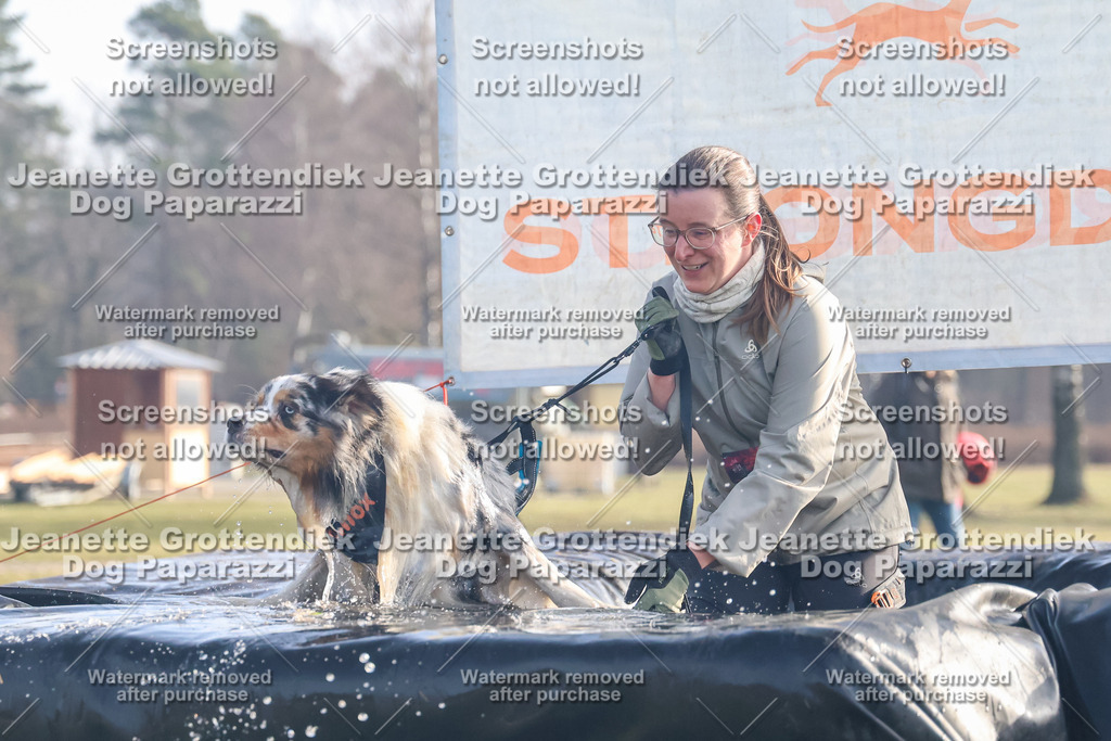 Dog Paparazzi - Strongdog North Mrz26-32 | Dog Paparazzi Jeanette Grottendiek Fotografie & Videografie - Realisiert mit Pictrs.com