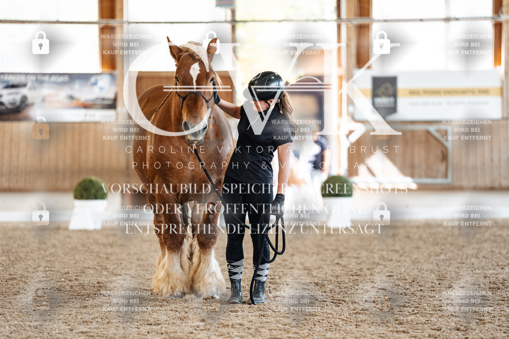 CK907293 | Turnierfotografie Pferdefotografie Trier Rheinland-Pfalz Pferdesport Reitsport Tierfotografie Sportfotografie Pferdevideo Pferdevideografie Equestrianvideography equestrianphotography  - Realisiert mit Pictrs.com