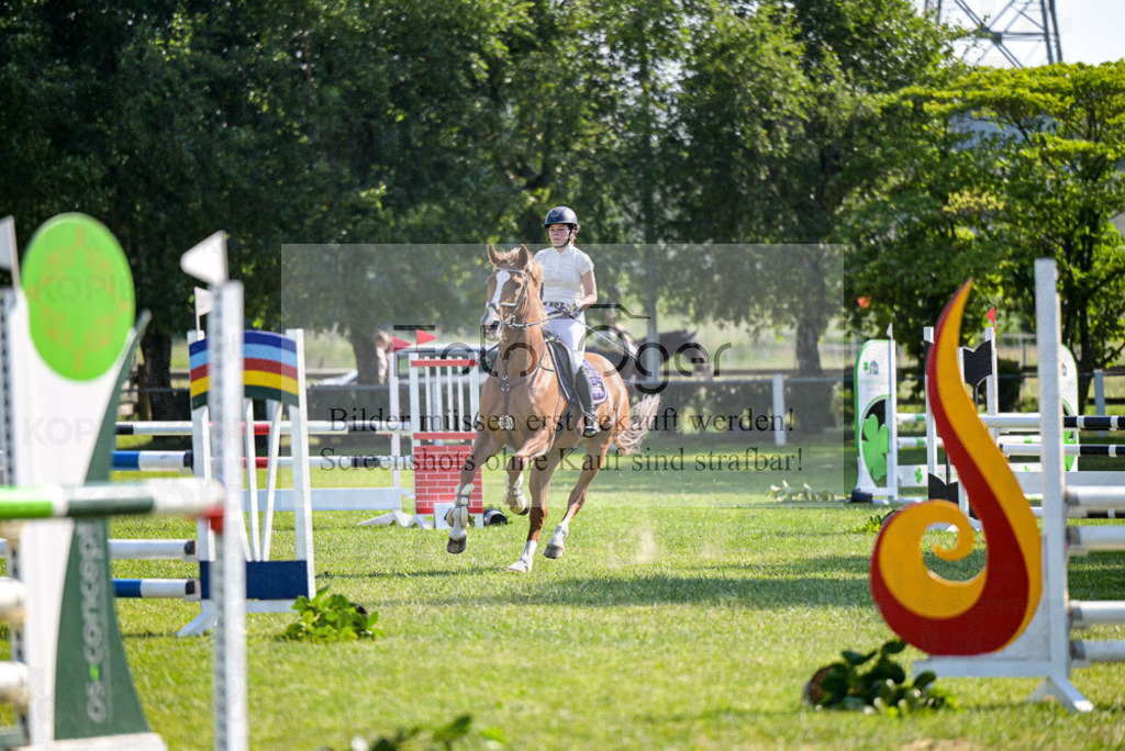 Reitturnier Voxtrup | Entdecke hochwertige Reitturnierfotos von Foto Oger. Professionell, emotional und authentisch – jetzt Lieblingsmomente im Shop bestellen.Deutschlandweite Turnierfotografie. - Realisiert mit Pictrs.com