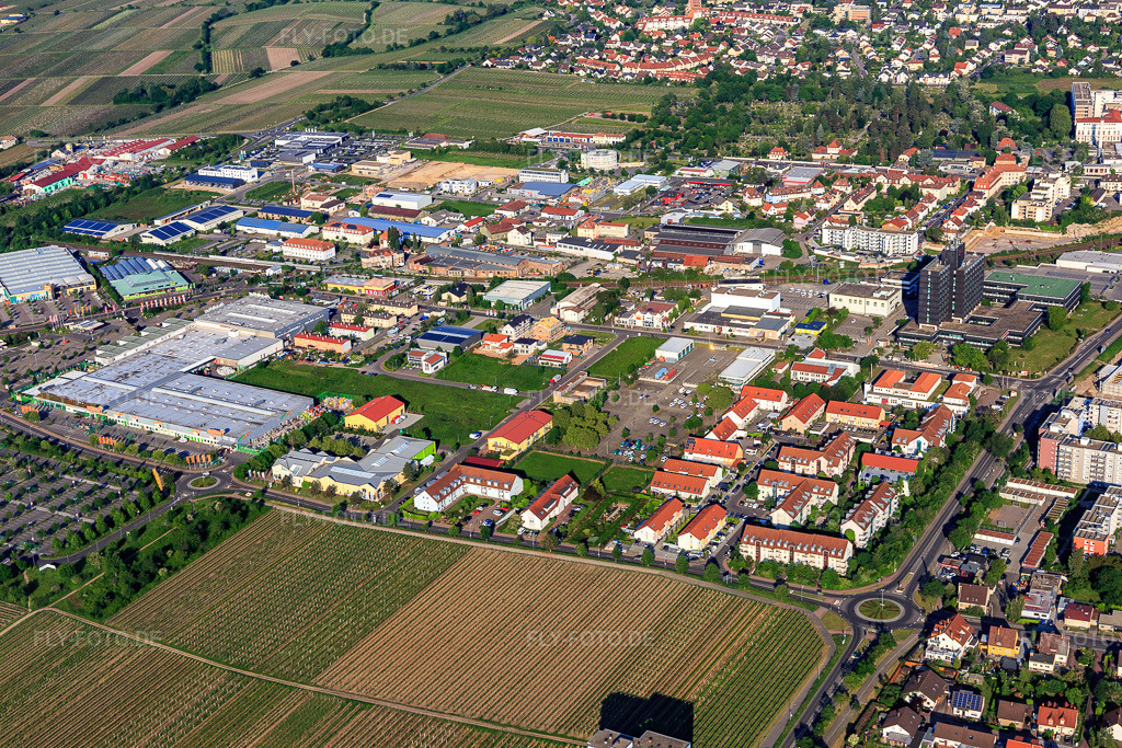 Luftbild: Mennonitenstraße und GLOBUS Neustadt an der Weinstraße in Neustadt an der Weinstraße im Bundesland Rheinland-Pfalz in Deutschland. Foto: IMG_114180.jpg vom 26.05.2019 durch Werner Riehm/FLY-FOTO.deGLOBUS * Alles auf einen Blick