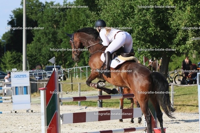 OHT 2022 Röhlingen (157) | Fotografie, Tiere, Hunde, Katzen, Pferde, Sportfotografie, Fotosession, Tierfotografie, Turnierfotografie, Fotografin, Fotograf - Realisiert mit Pictrs.com