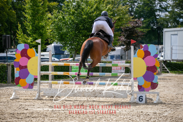 Monschau25_PktM_0048 | Turniersportfotografie; Pferdefotografie; Dressurfotografie