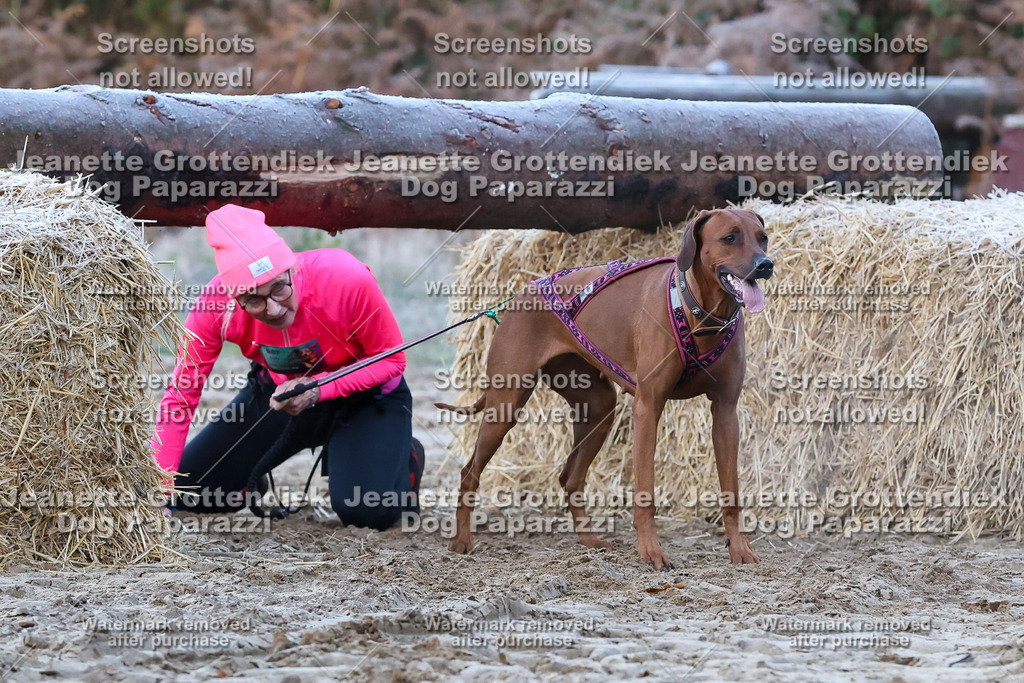 Dog Paparazzi - Strongdog 10-25-170 | Dog Paparazzi Jeanette Grottendiek Fotografie & Videografie - Realisiert mit Pictrs.com