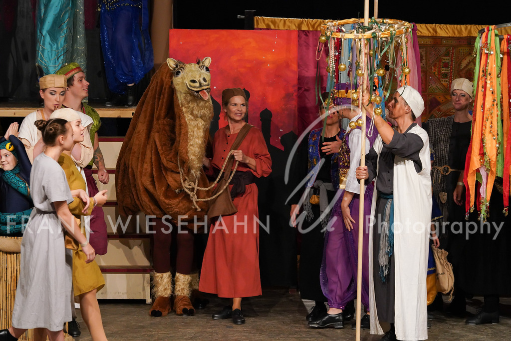 steppdm22_5175 | FRANK WIESEHAHN MEDIA - Realisiert mit Pictrs.com