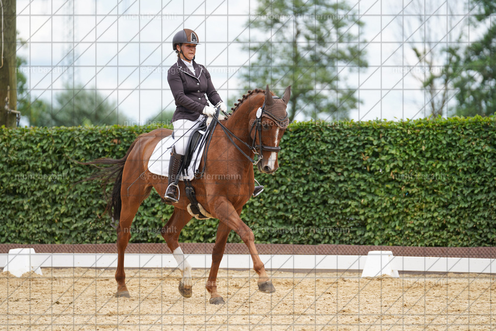 20240630-FAH02088 | Turnierbilder Schwabmünchen, Dressurbilder, Springreitturnier, Reitsportbilder, Turnierfotografen Bayern, Turnierfotograf