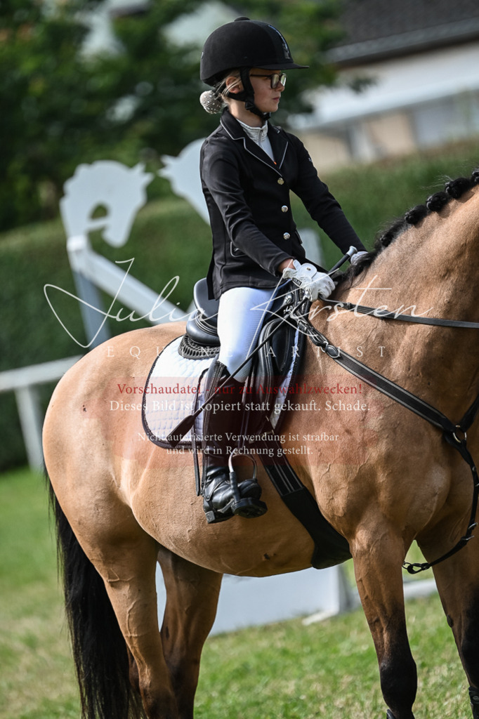 DSC_8668 | Pferde- und Turnierfotografie in Westsachsen. Pferdeportraits, Auftragszeichnungen und intuitive Kunst.