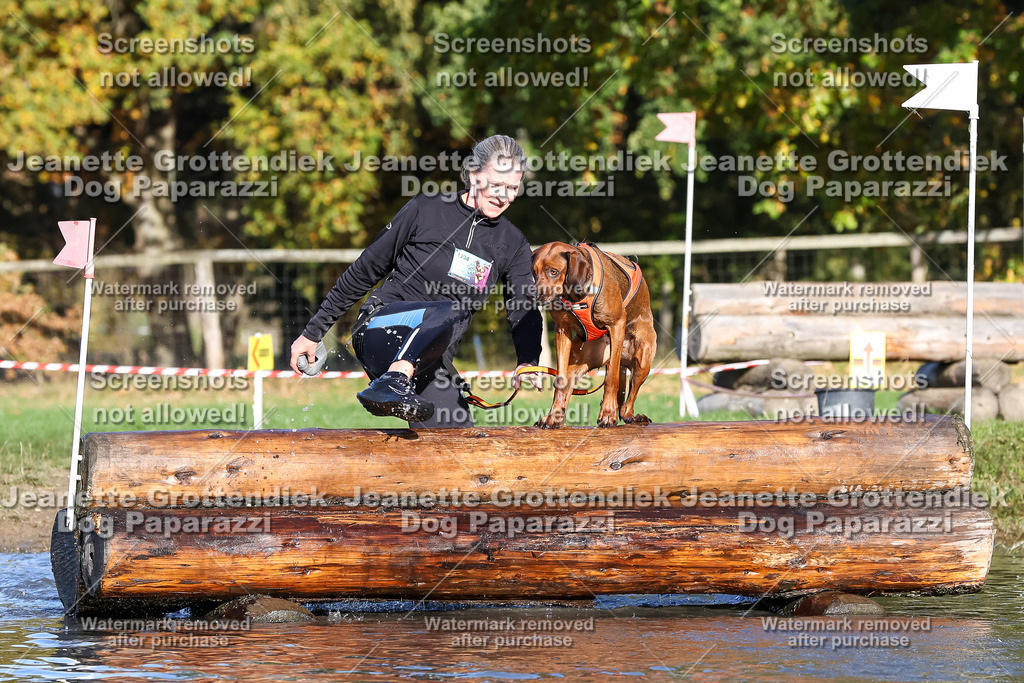 Dog Paparazzi - Strongdog 10-25-8659 | Dog Paparazzi Jeanette Grottendiek Fotografie & Videografie - Realisiert mit Pictrs.com