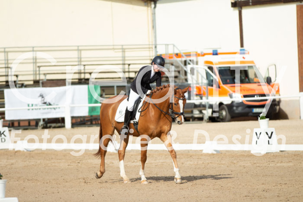 IMG_0783 | Creatify Fotografie