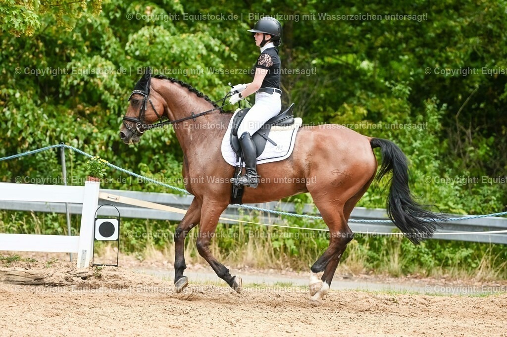 20230715_05_Dressurprüfung Kl.A++_0331 | equistock