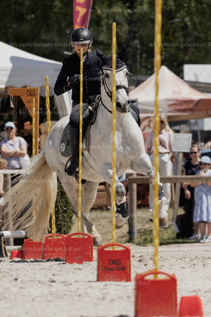 WE_SP_Stoib_331_PI2025_1832 | Pferd International München 2025