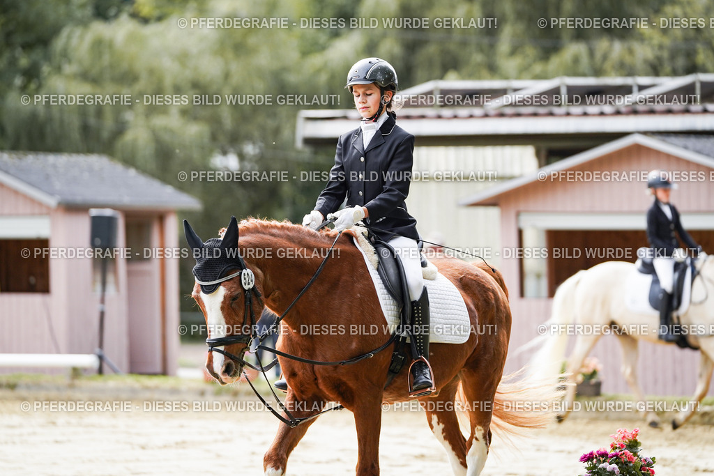 DSC05210 | Pferdegrafie