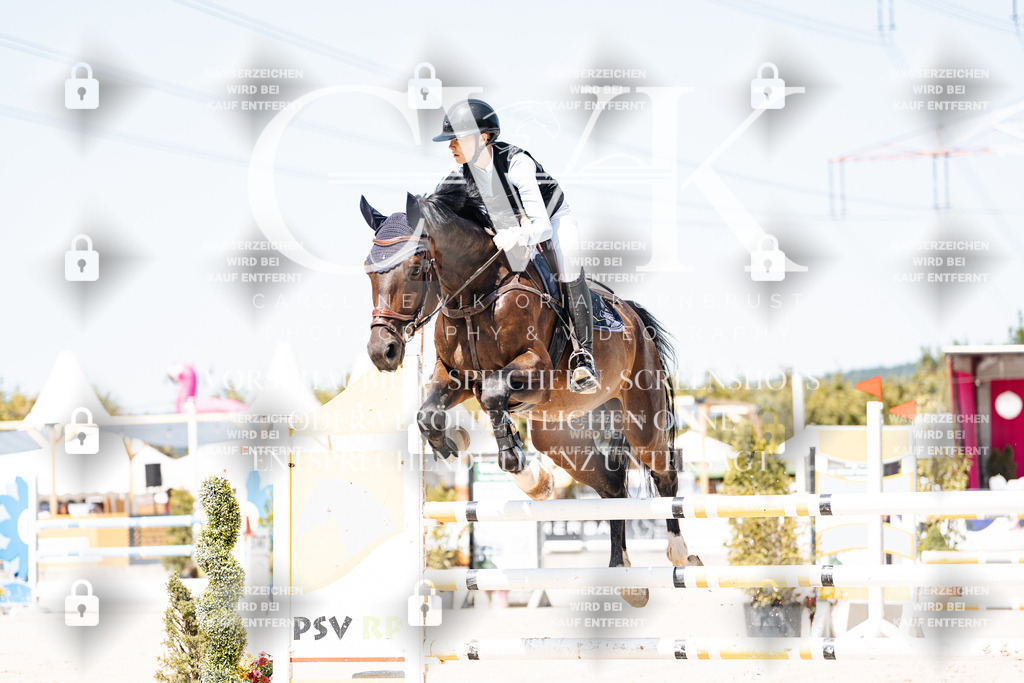 CK909449 | Turnierfotografie Pferdefotografie Trier Rheinland-Pfalz Pferdesport Reitsport Tierfotografie Sportfotografie Pferdevideo Pferdevideografie Equestrianvideography equestrianphotography  - Realisiert mit Pictrs.com