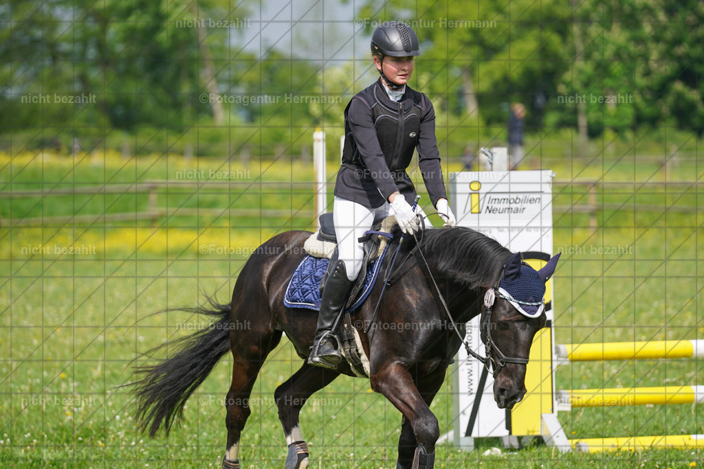 20240509-FAH02248 | Turnierbilder der Turnierfotografen Bayern, Pferdesport Fotografie, Reitsportbilder, Turnier Landberg am Lech, Turnierbilder bayern, Fotoagentur Herrmann