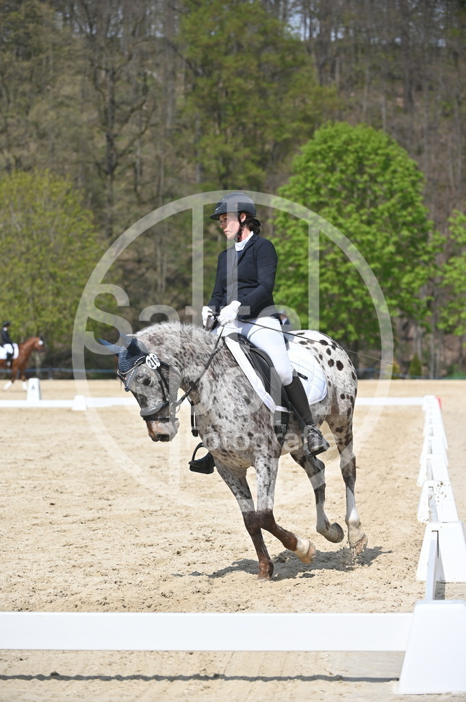 DSC_2291 | sattelsport - Realisiert mit Pictrs.com