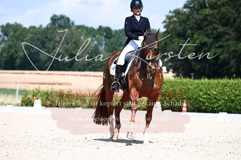 DSC_2850 | Pferde- und Turnierfotografie in Westsachsen. Pferdeportraits, Auftragszeichnungen und intuitive Kunst.