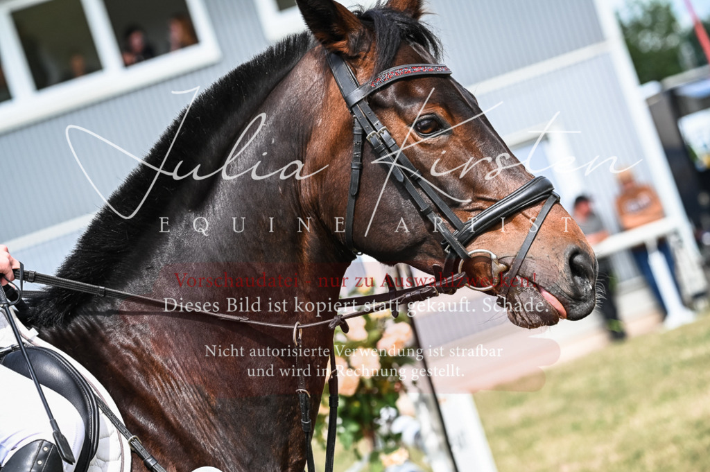 DSC_8433 | Pferde- und Turnierfotografie in Westsachsen. Pferdeportraits, Auftragszeichnungen und intuitive Kunst.