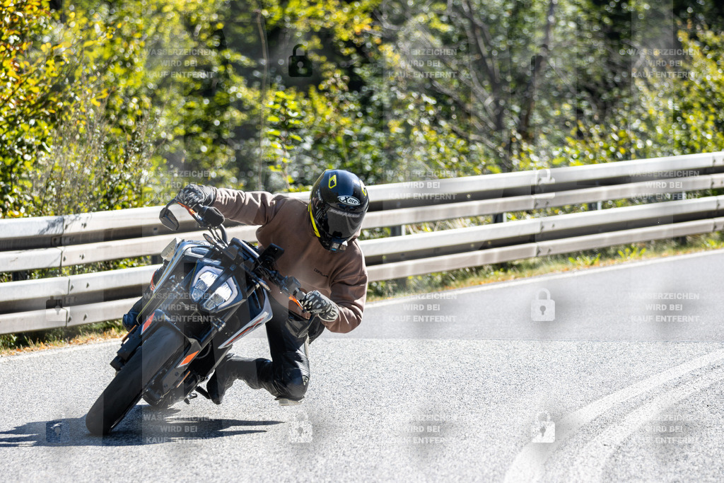 IMG_3612 | jrph - Realisiert mit Pictrs.com