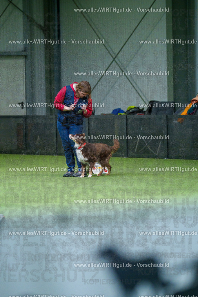 7R506159 | Professionelle Tierfotografie in Mönchengladbach von Daniel Wirth (allesWIRTHgut). Liebevolle & natürliche Bilder von Hunden & Katzen für unvergessliche Erinnerungen.