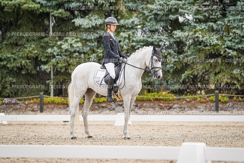 DSC02100 | Pferdegrafie