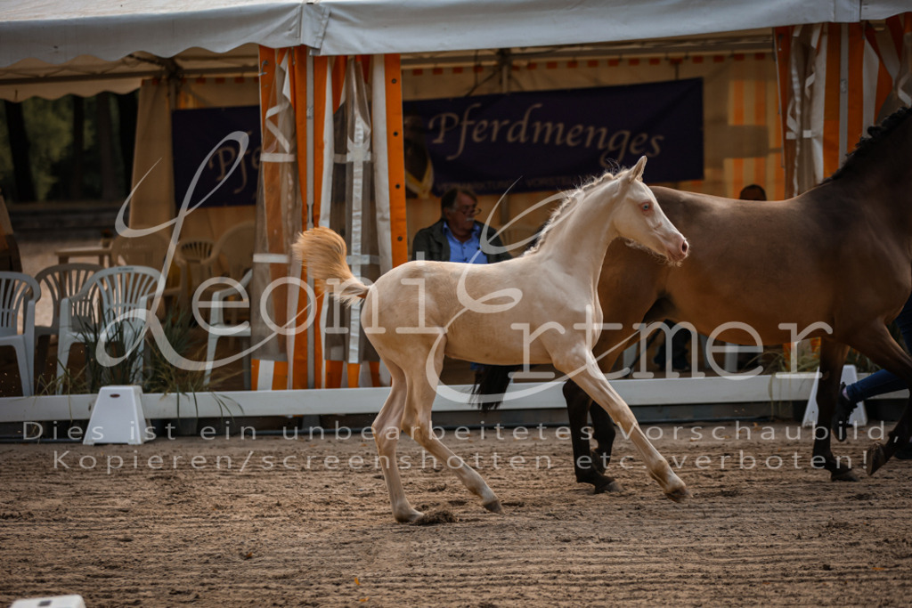 10.DoRP00053 | Leoni Ertmer Photography - Realisiert mit Pictrs.com