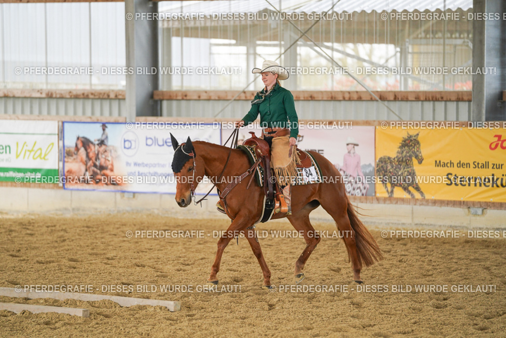 DSC04622 | Pferdegrafie