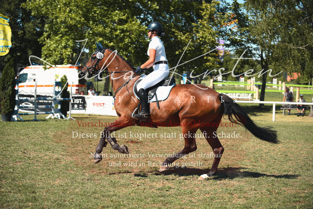 DSC_7240 | Pferde- und Turnierfotografie in Westsachsen. Pferdeportraits, Auftragszeichnungen und intuitive Kunst.