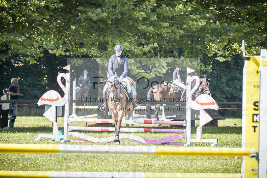 DOS_0157 | Entdecke hochwertige Reitturnierfotos von Foto Oger. Professionell, emotional und authentisch – jetzt Lieblingsmomente im Shop bestellen.Deutschlandweite Turnierfotografie. - Realisiert mit Pictrs.com