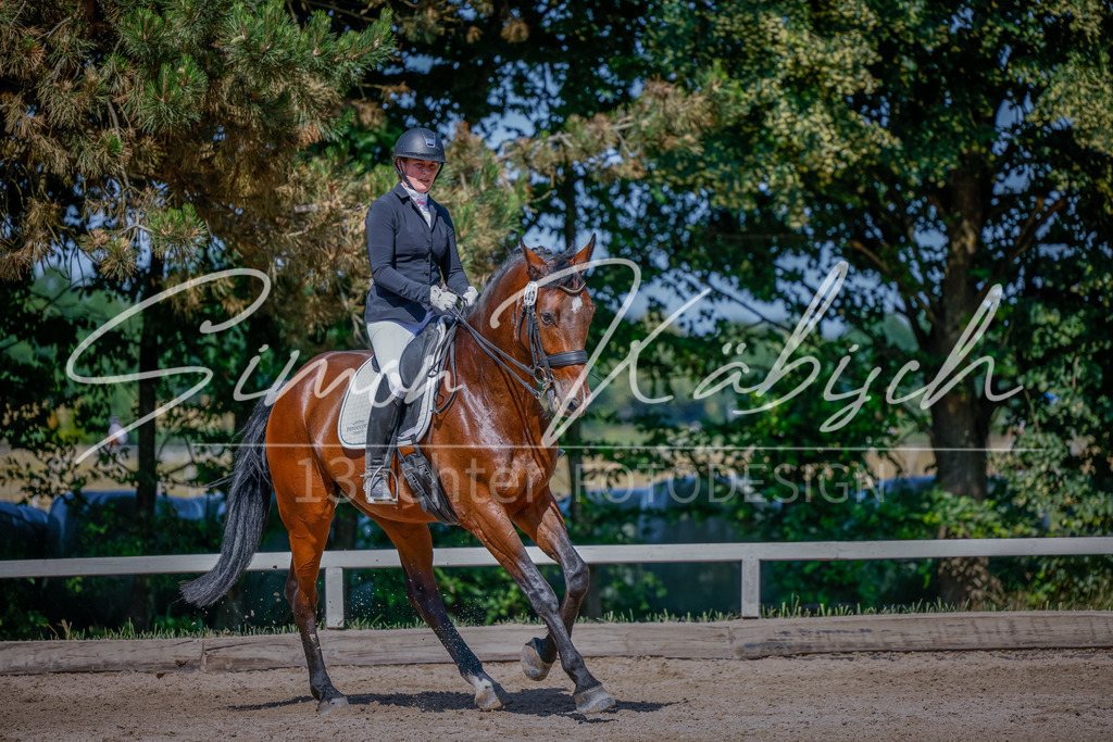 20250621-_3LI9747 | Tierfotografie Pferde, Hunde, Katzen, Haustiere.
Turnierfotografie Reitturniere, Reiten, Springreiten, Dressur in Hanau, dem Main-Kinzig-Kreis und dem Rhein-Main- Gebiet um Frankfurt