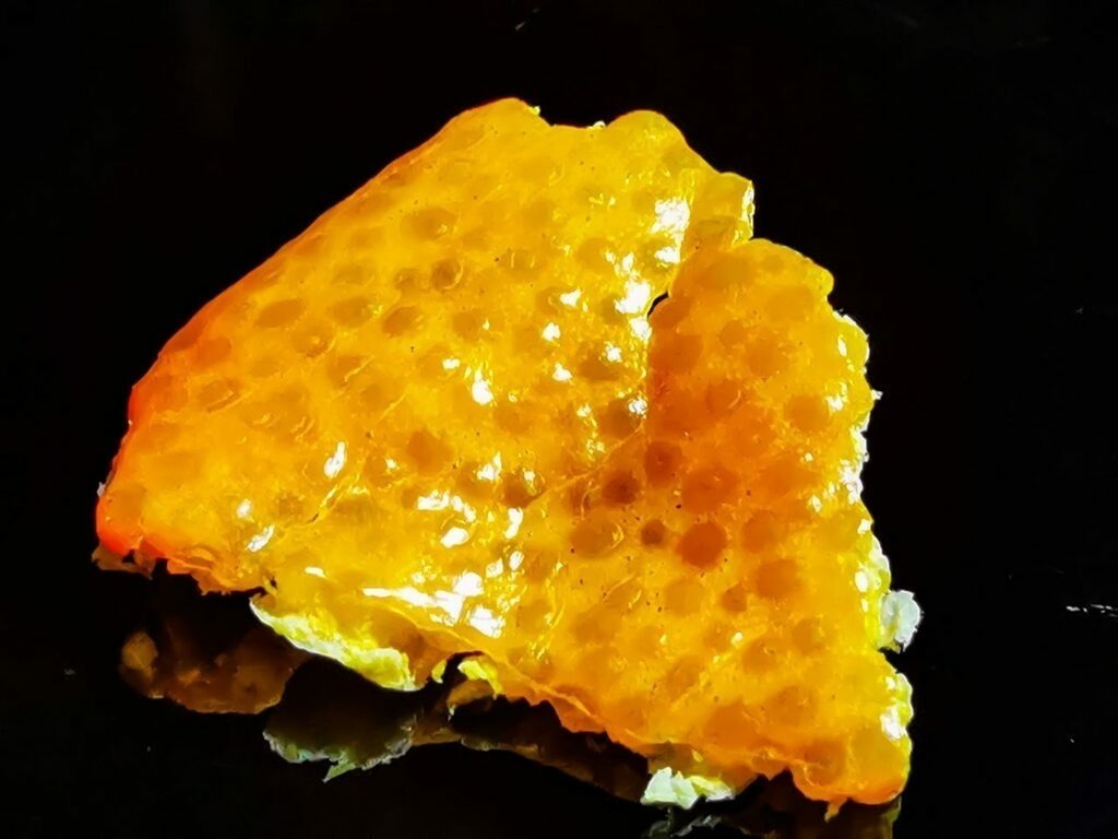 PSX_20230105_230901 | mtkfoto_ - Realisiert mit Pictrs.com