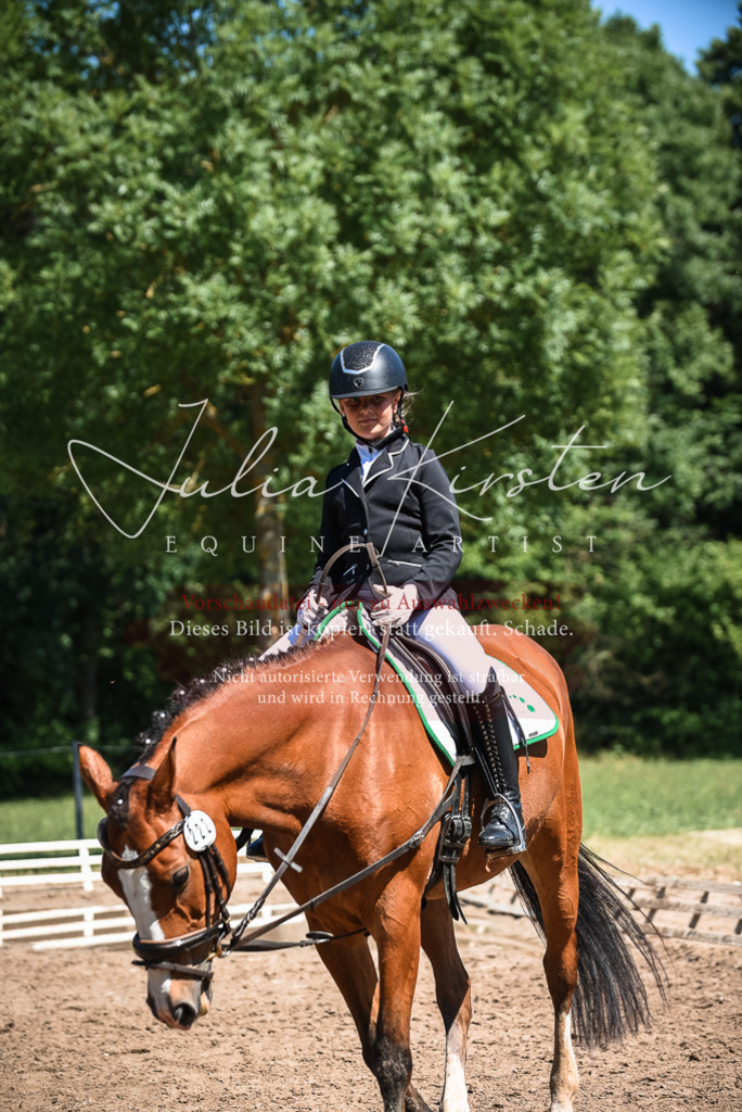 DSC_3467 | Pferde- und Turnierfotografie in Westsachsen. Pferdeportraits, Auftragszeichnungen und intuitive Kunst.