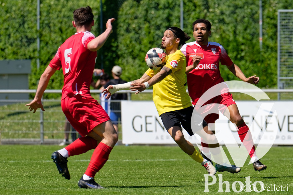 DSC_7494_M | Velletri Photo