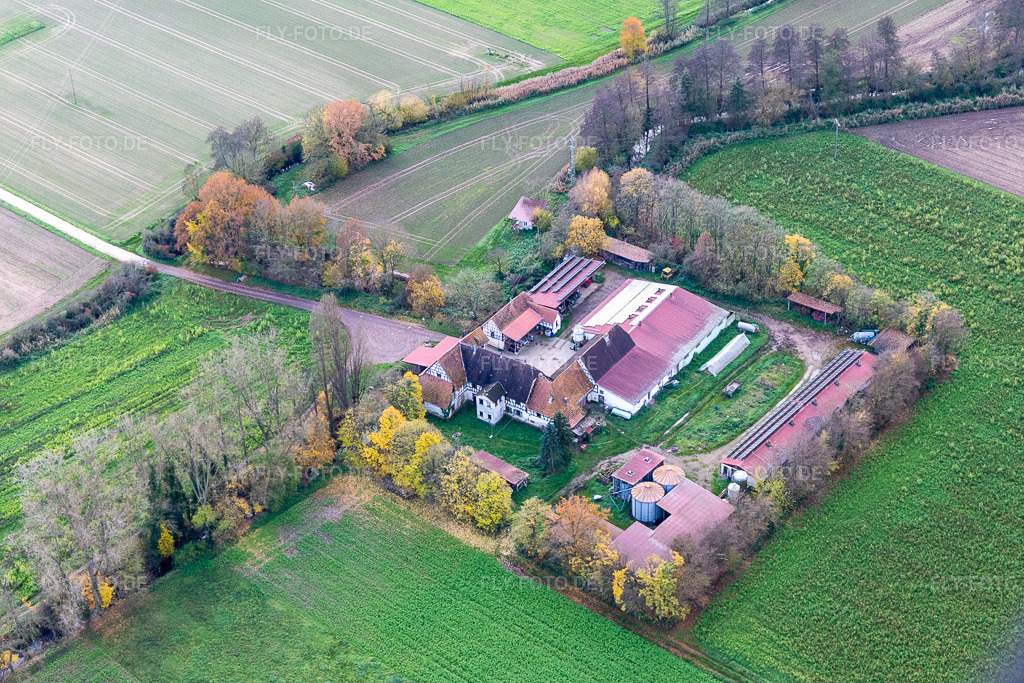 Luftbild: Leistenmühle am Erlenbach in Kandel im Bundesland Rheinland-Pfalz in Deutschland. Foto: IMG_135289.jpg vom 26.11.2022 durch Werner Riehm/FLY-FOTO.de