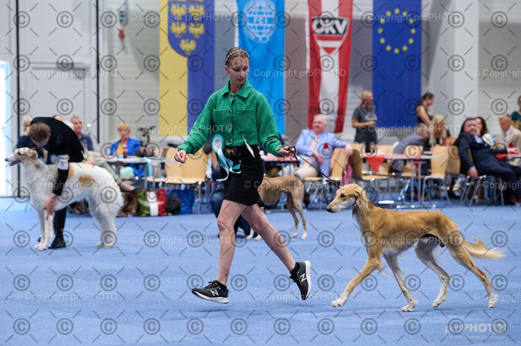 202406_ÖKV-IHA-Tulln24_DSC_3252 | proPHOTO - Realisiert mit Pictrs.com