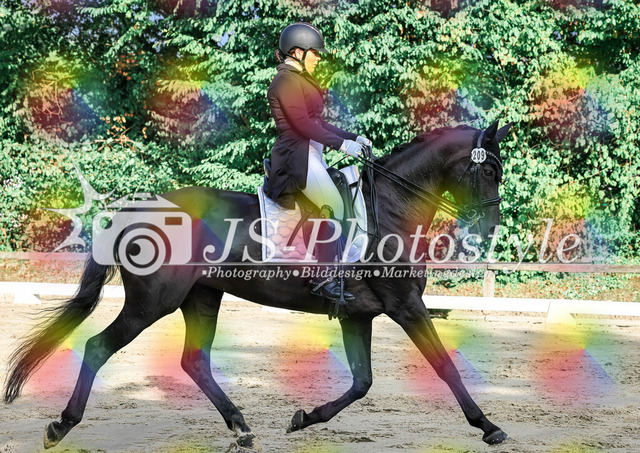 20250726_Dressurprüfung Kl.S Kandare-91 | JS-Photostyle - Sport-/Portrait- & Eventfotografie